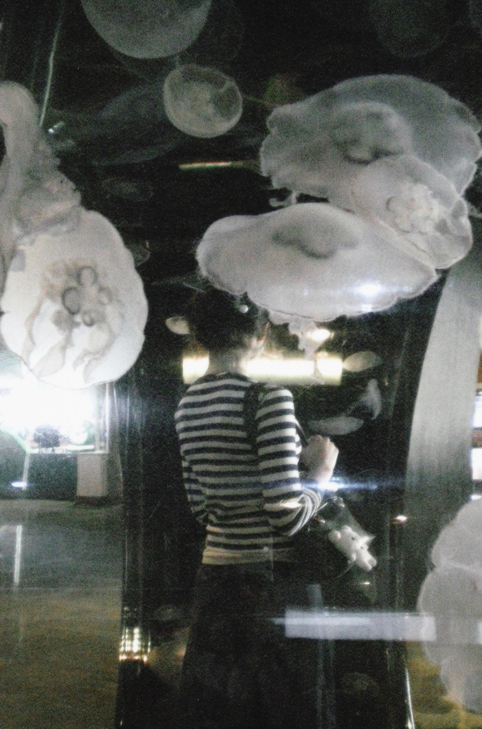 Nikon COOLPIX S200 ♱ jellyfish